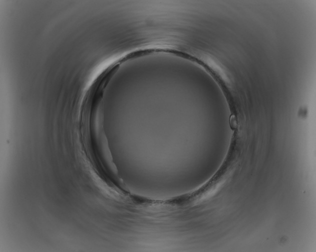 X0000093241077200709261704