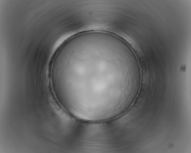 X0000093241078200709261704