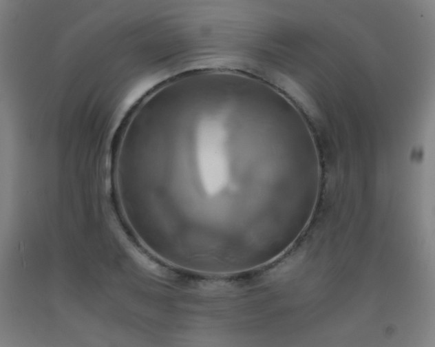 X0000093241079200709261704