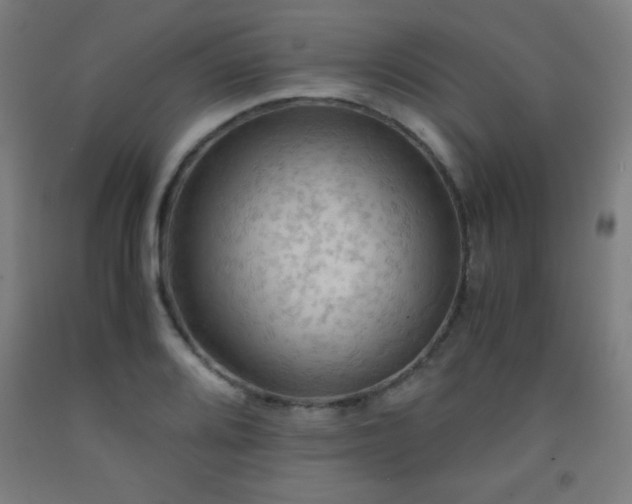 X0000093241080200709261704