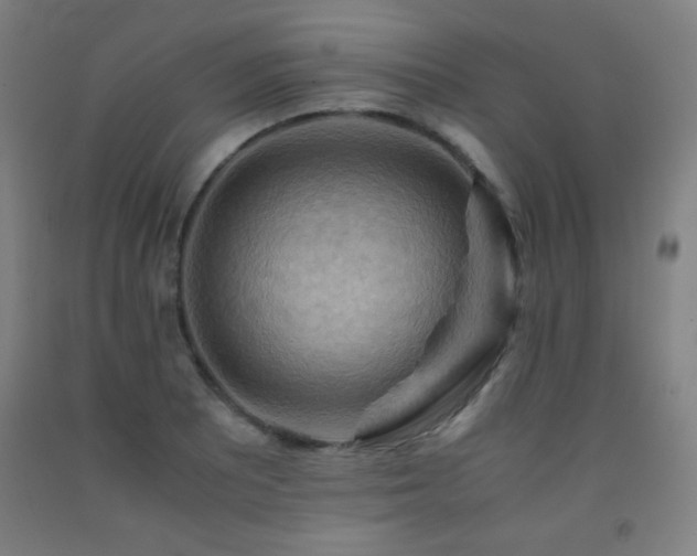 X0000093241081200709261704