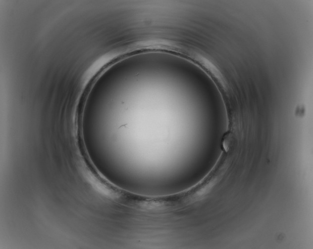 X0000093241082200709261704