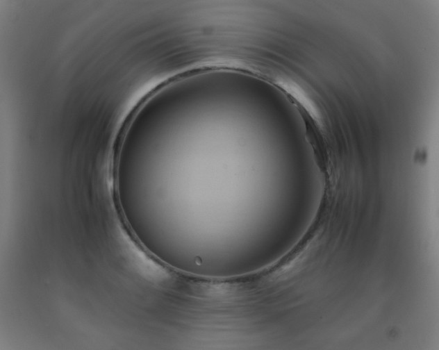 X0000093241084200709261704