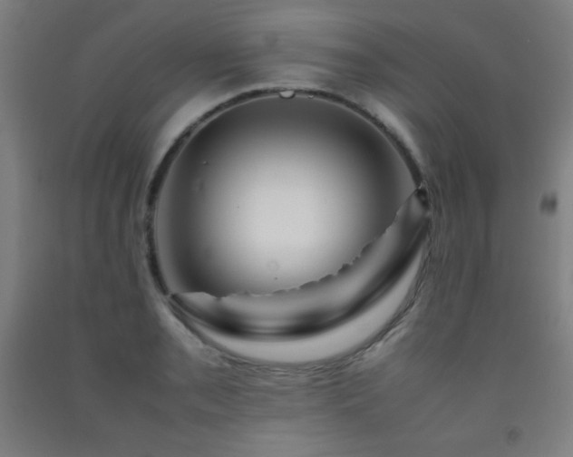 X0000093241085200709261704