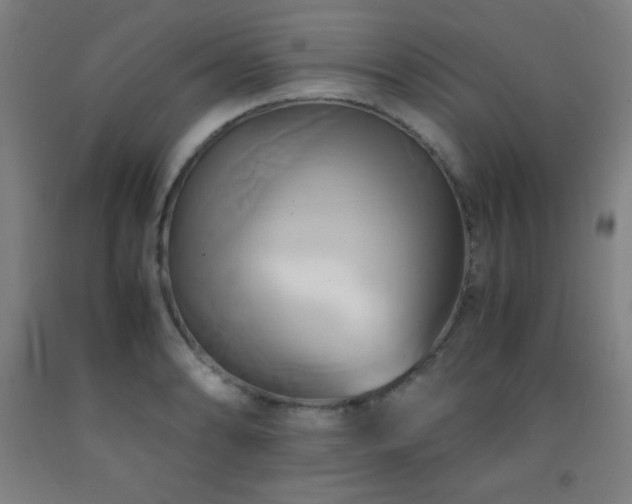 X0000093241086200709261704