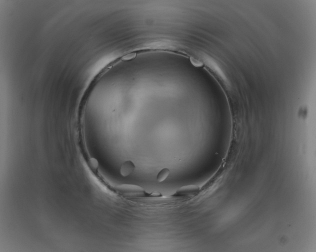 X0000093241087200709261703