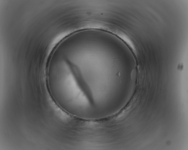 X0000093241088200709261703