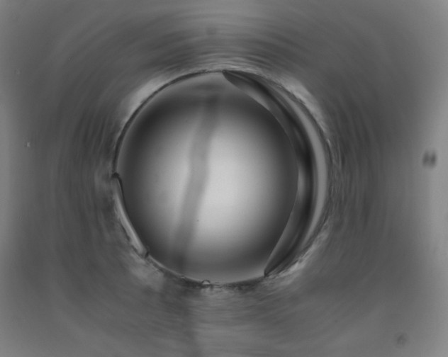 X0000093241089200709261703