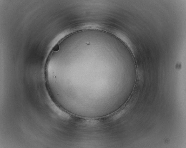 X0000093241090200709261703