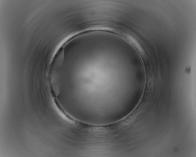 X0000093241092200709261703