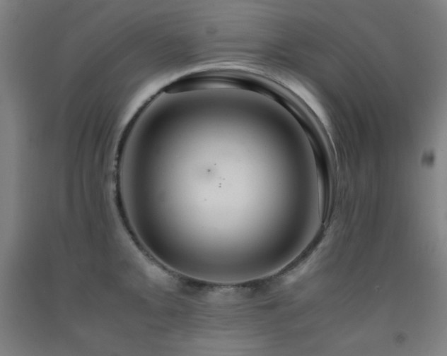 X0000093241093200709261703