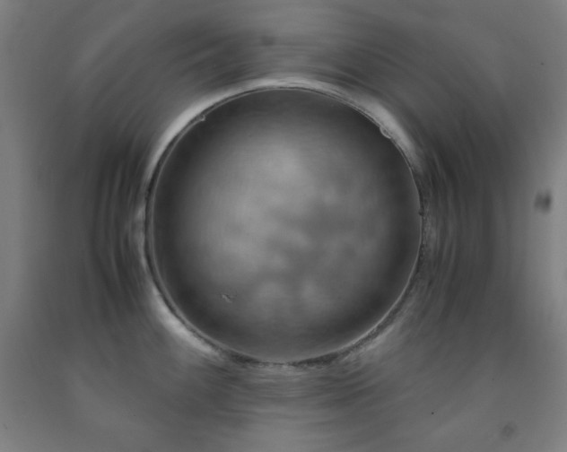 X0000093241100200709261703