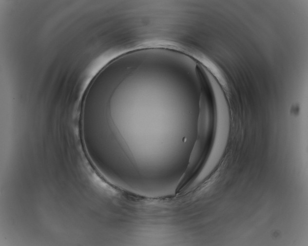X0000093241102200709261703