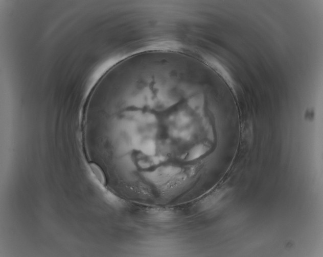 X0000093241103200709261703