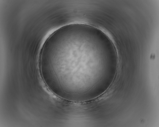 X0000093241104200709261703