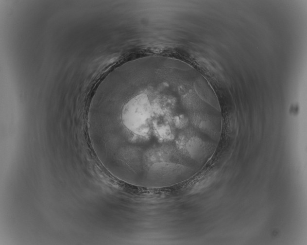X0000093241105200709261703