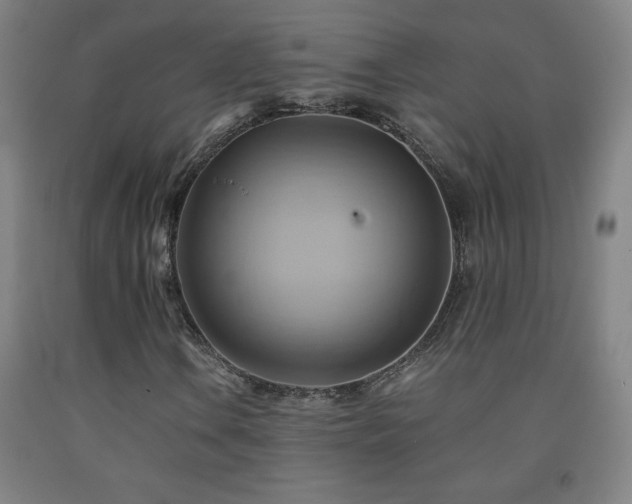 X0000093241106200709261703