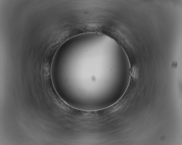 X0000093241107200709261703