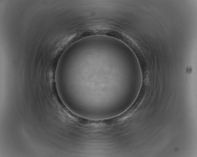 X0000093241108200709261703