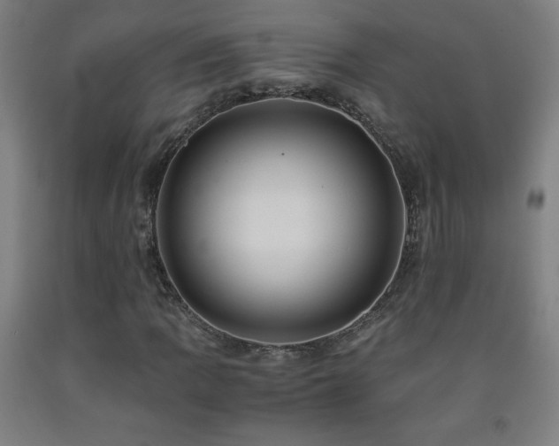 X0000093241109200709261703