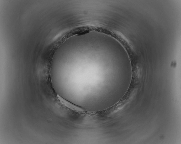 X0000093241110200709261703