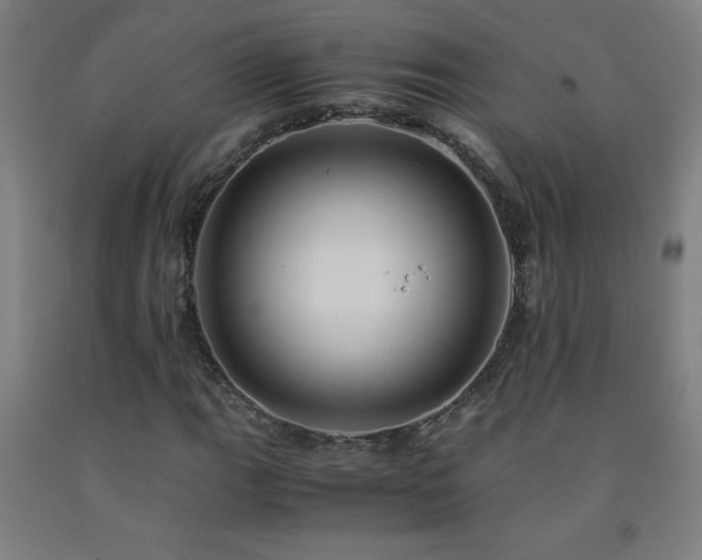 X0000093241111200709261703