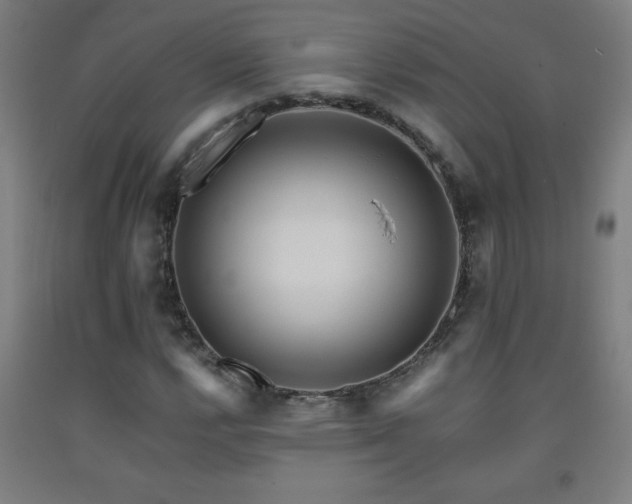 X0000093241112200709261703