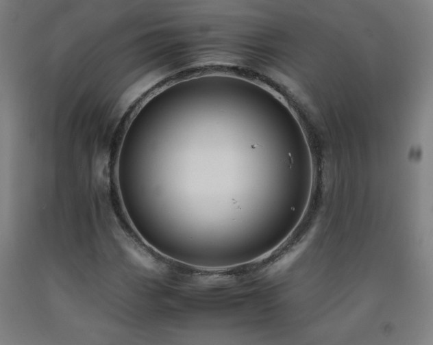 X0000093241113200709261703