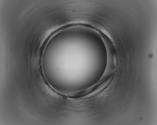X0000093241116200709261703