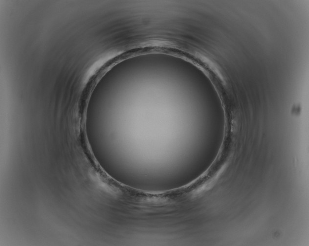 X0000093241117200709261703