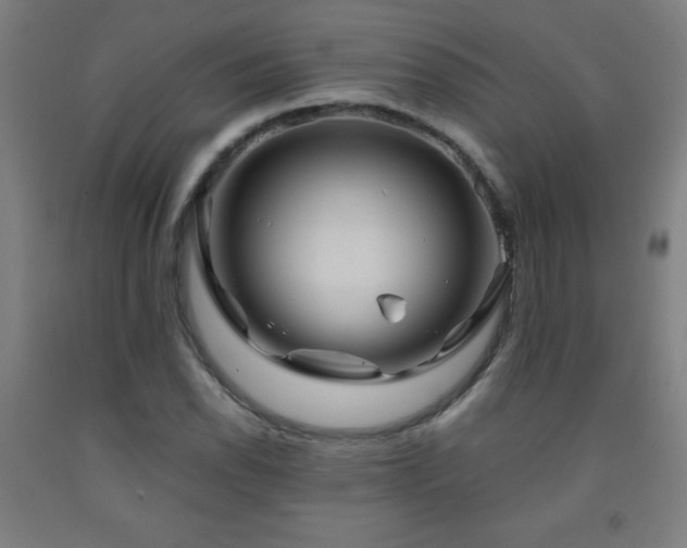 X0000093241118200709261703