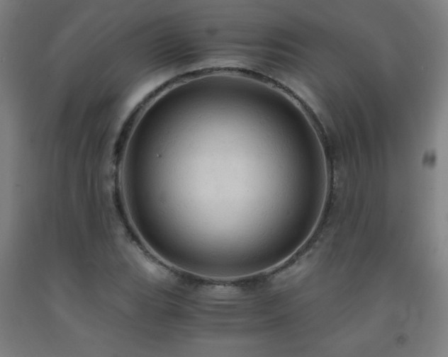 X0000093241119200709261703