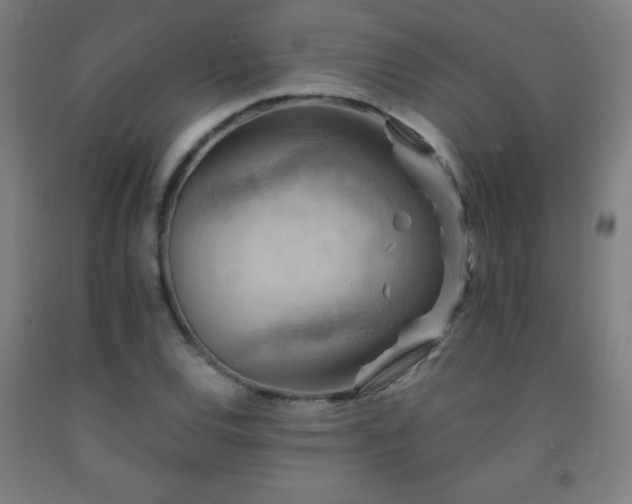 X0000093241120200709261703