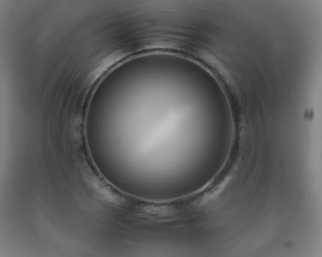 X0000093241121200709261703