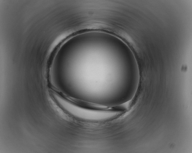 X0000093241122200709261703