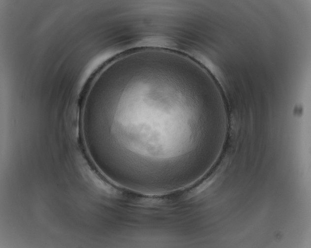 X0000093241123200709261703
