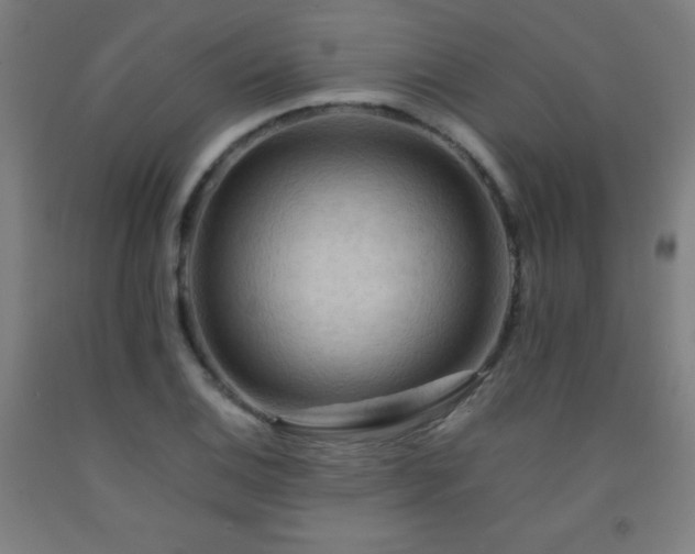 X0000093241124200709261703