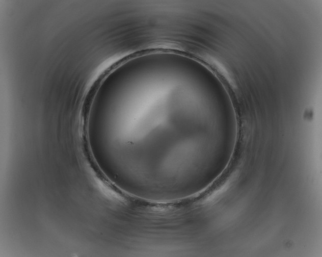 X0000093241125200709261703