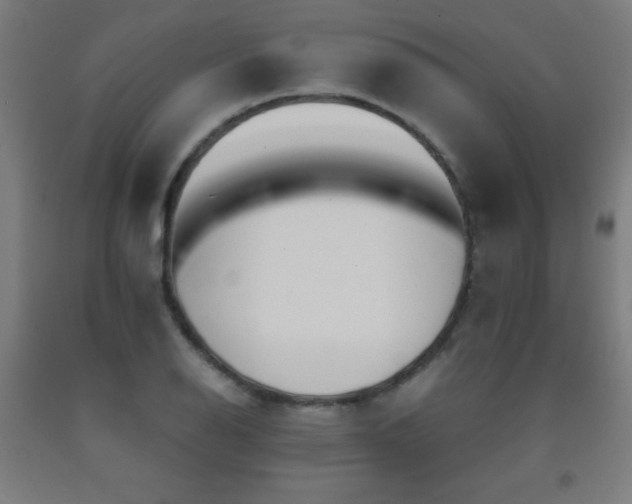 X0000093241126200709261703