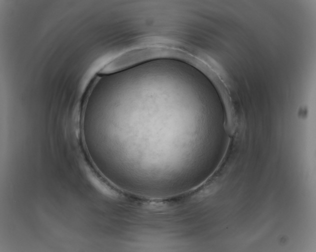 X0000093241128200709261703