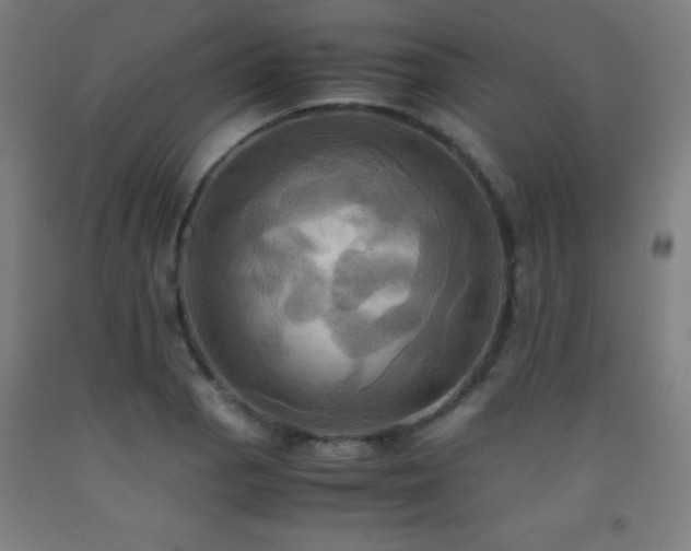 X0000093241129200709261703