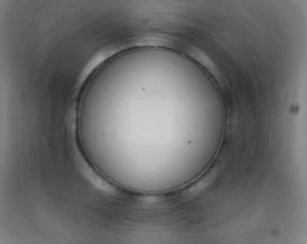 X0000093241130200709261703