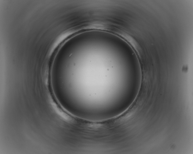 X0000093241131200709261703