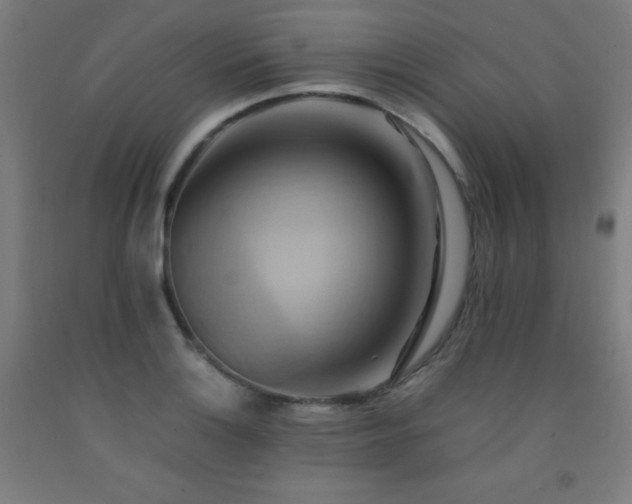 X0000093241132200709261703
