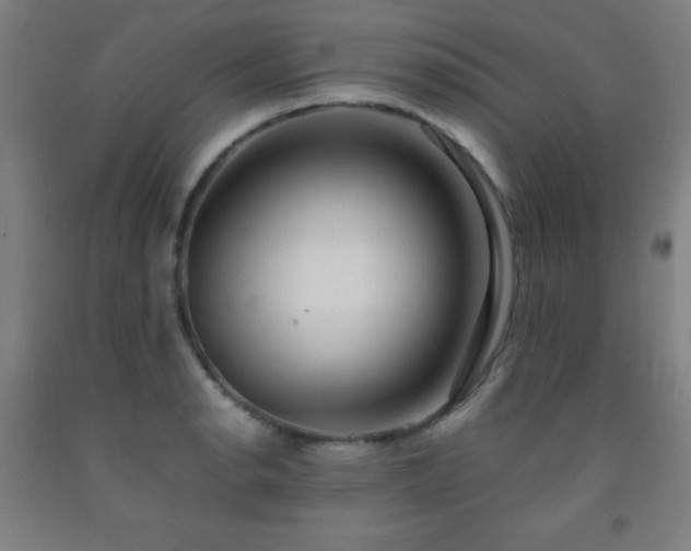 X0000093241134200709261703