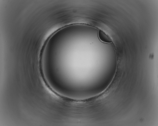 X0000093241135200709261703