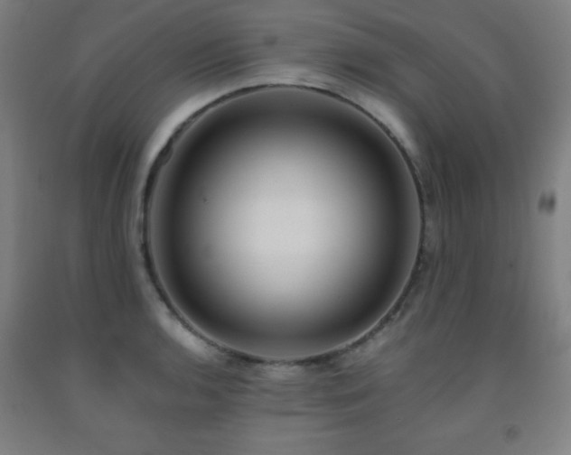 X0000093241136200709261703
