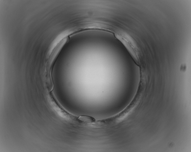 X0000093241138200709261703