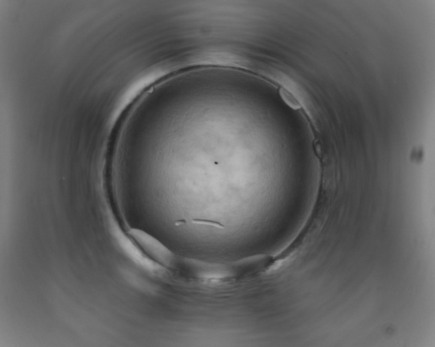 X0000093241139200709261703