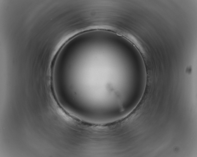 X0000093241140200709261703